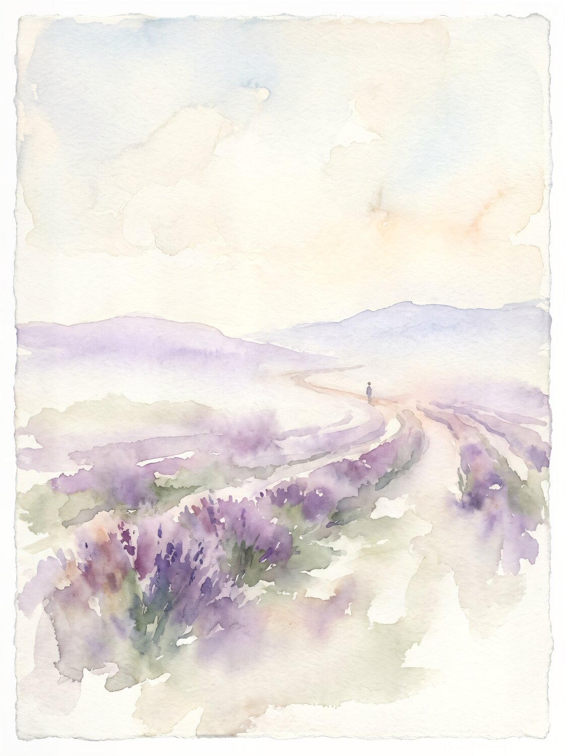 Lavender Fields
